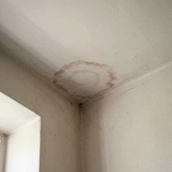 Water stain on original plaster ceiling caused by ice dam infiltration near the eave line`